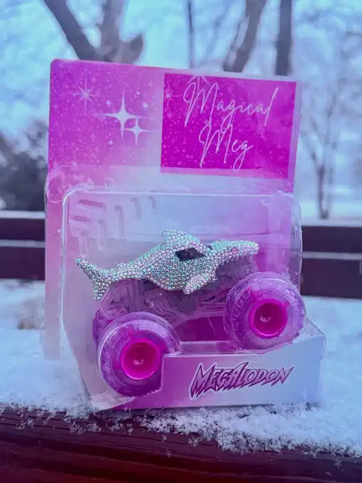 THE MRS SOUTH CUSTOM CARDS custom truck photo 3