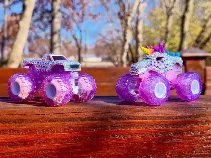 LADIES NIGHT / SPARKLE SMASH custom truck photo 9